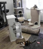 Unsere Räume Svg+xml,%3Csvg%20xmlns%3D%22http%3A%2F%2Fwww.w3